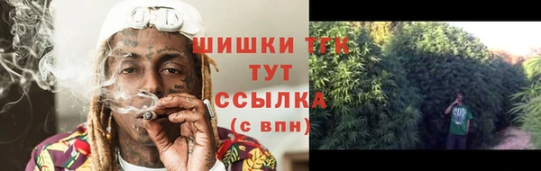 прущие крисы Кодинск