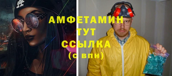 ГАЛЛЮЦИНОГЕННЫЕ ГРИБЫ Корсаков