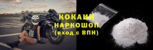 ГАЛЛЮЦИНОГЕННЫЕ ГРИБЫ Корсаков
