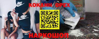 ешки Кингисепп
