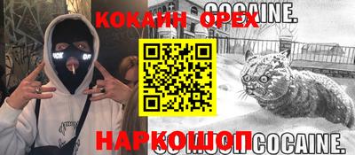 ешки Кингисепп
