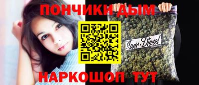 ешки Кингисепп