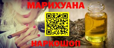 ешки Кингисепп
