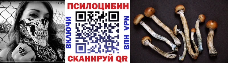 Галлюциногенные грибы мухоморы  наркошоп  Усть-Джегута 