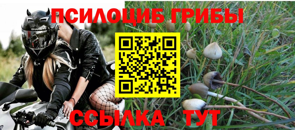 Усть-Джегута  Псилоцибиновые грибы ЛСД  Вход с VPN 